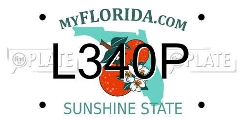 L340P Florida License Plate
