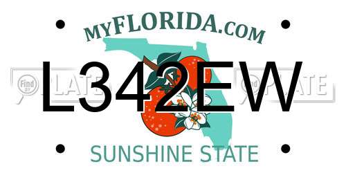 L342EW Florida License Plate