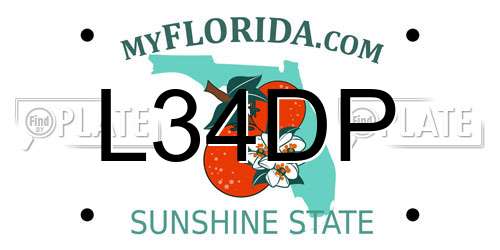 L34DP Florida License Plate