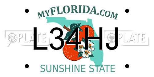 L34HJ Florida License Plate