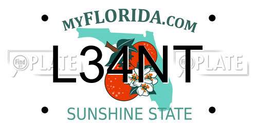 L34NT Florida License Plate