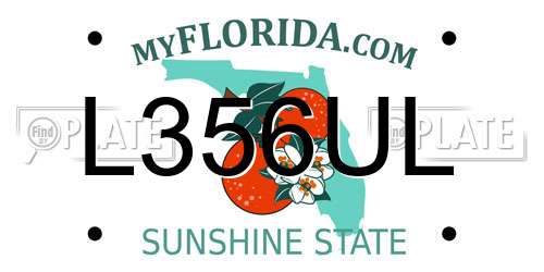 L356UL Florida License Plate