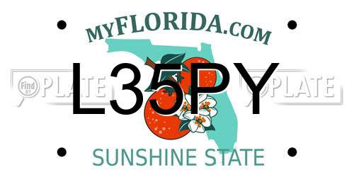 L35PY Florida License Plate