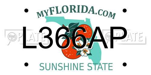 L366AP Florida License Plate
