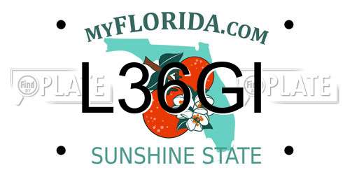 L36GI Florida License Plate