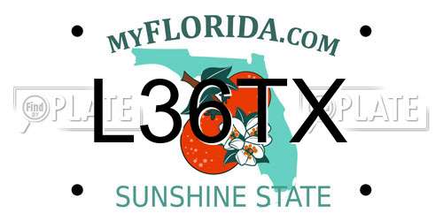 L36TX Florida License Plate
