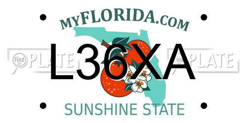 L36XA Florida License Plate