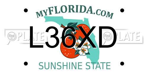 L36XD Florida License Plate