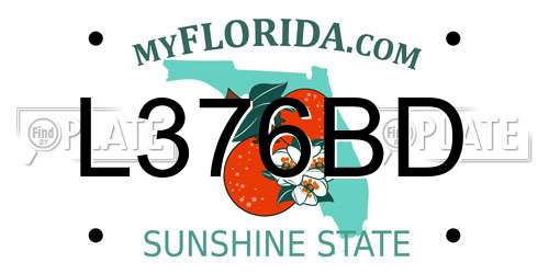 L376BD Florida License Plate