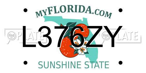 L376ZY Florida License Plate