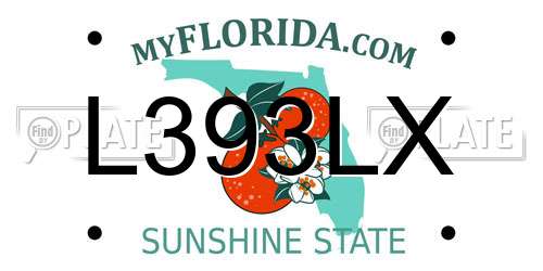 L393LX Florida License Plate