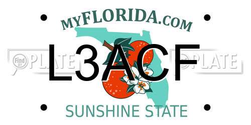 L3ACF Florida License Plate
