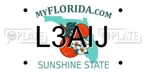 L3AIJ Florida License Plate