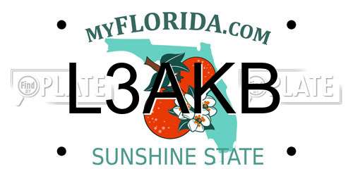 L3AKB Florida License Plate