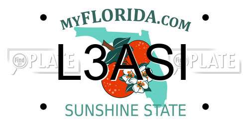 L3ASI Florida License Plate