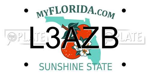 L3AZB Florida License Plate