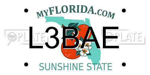L3BAE Florida License Plate