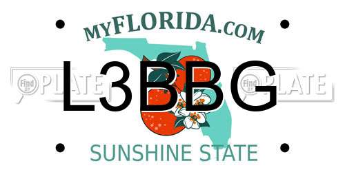 L3BBG Florida License Plate