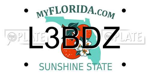 L3BDZ Florida License Plate