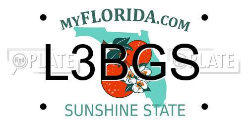 L3BGS Florida License Plate