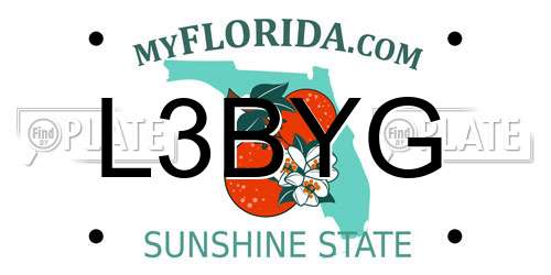 L3BYG Florida License Plate