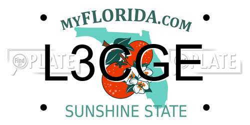 L3CGE Florida License Plate