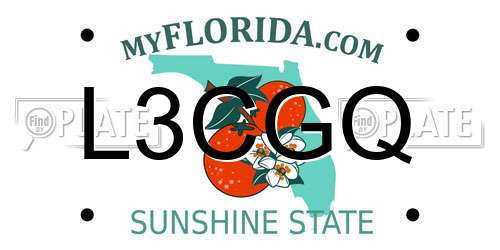 L3CGQ Florida License Plate