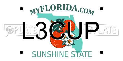 L3CUP Florida License Plate