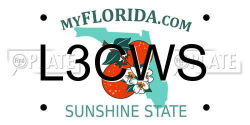 L3CWS Florida License Plate
