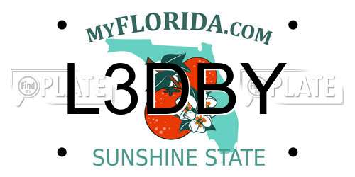 L3DBY Florida License Plate