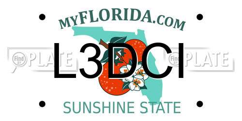L3DCI Florida License Plate