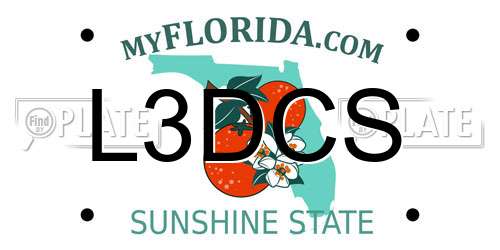 L3DCS Florida License Plate