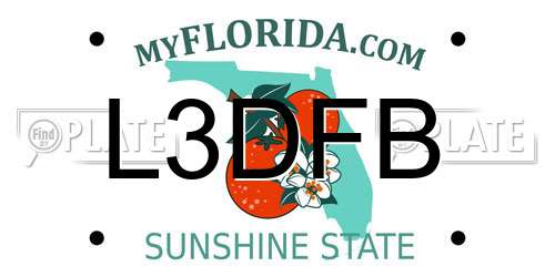 L3DFB Florida License Plate
