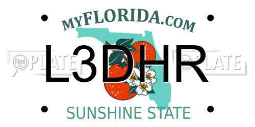 L3DHR Florida License Plate