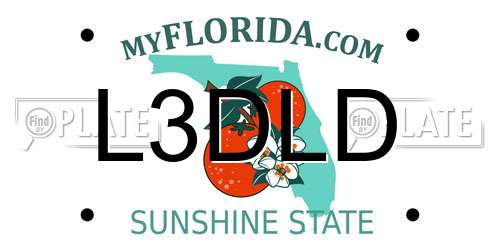 L3DLD Florida License Plate