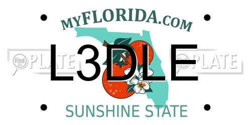 L3DLE Florida License Plate