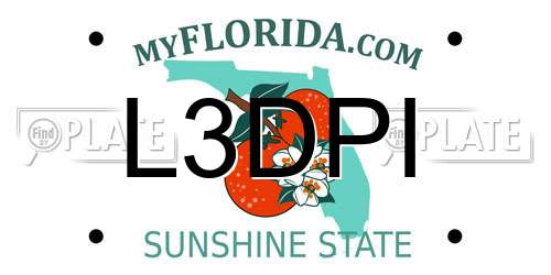 L3DPI Florida License Plate