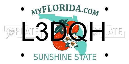 L3DQH Florida License Plate