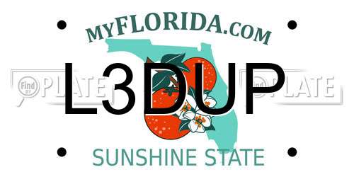 L3DUP Florida License Plate
