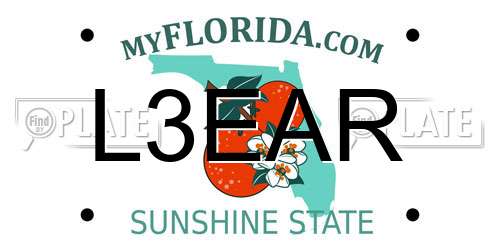 L3EAR Florida License Plate