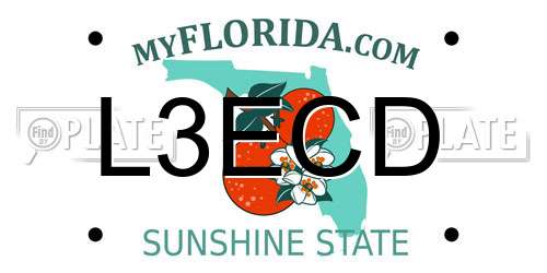 L3ECD Florida License Plate