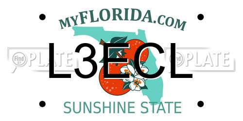 L3ECL Florida License Plate