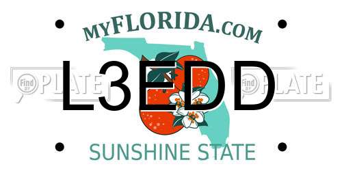 L3EDD Florida License Plate