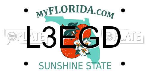 L3EGD Florida License Plate