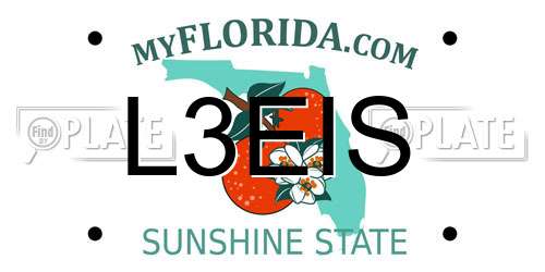 L3EIS Florida License Plate