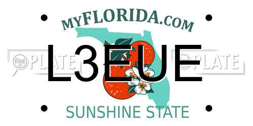 L3EUE Florida License Plate