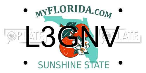 L3GNV Florida License Plate