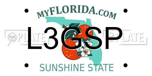 L3GSP Florida License Plate