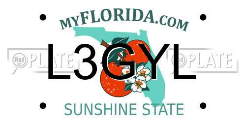 L3GYL Florida License Plate