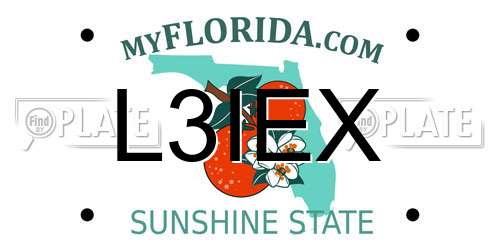 L3IEX Florida License Plate